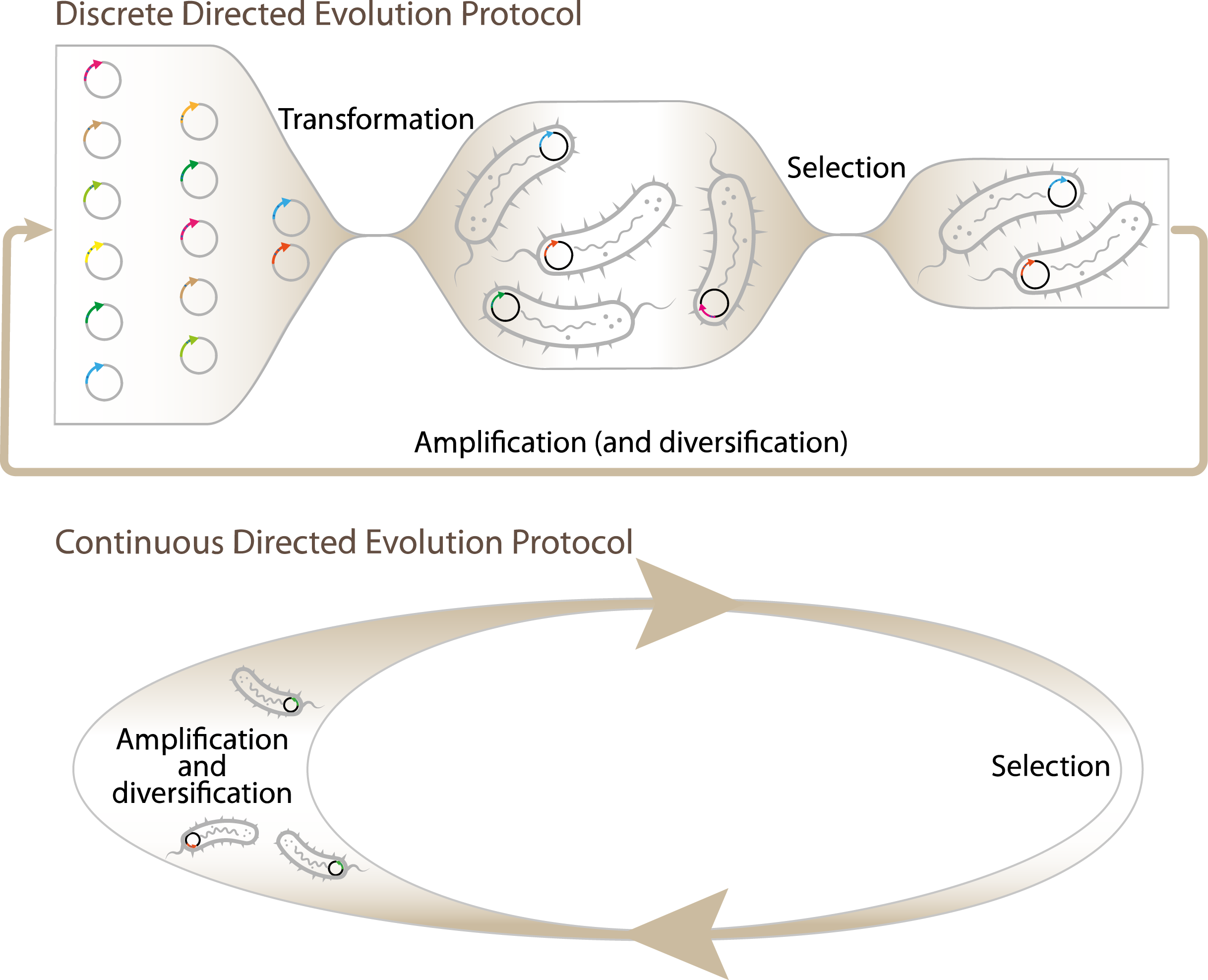 cons_vs_discrete