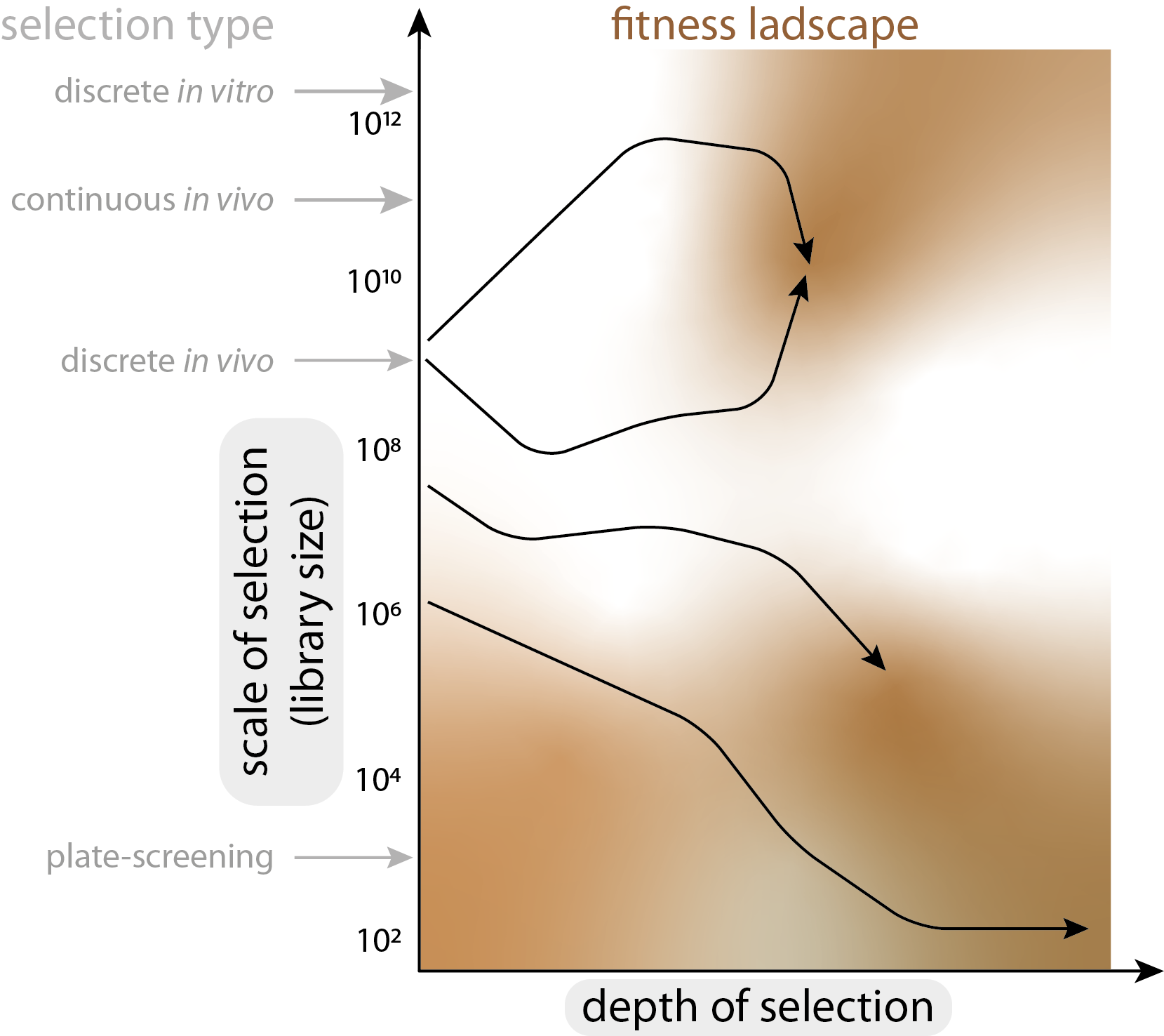 cons_vs_discrete