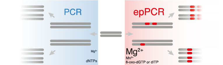 3PCR vs epPCR